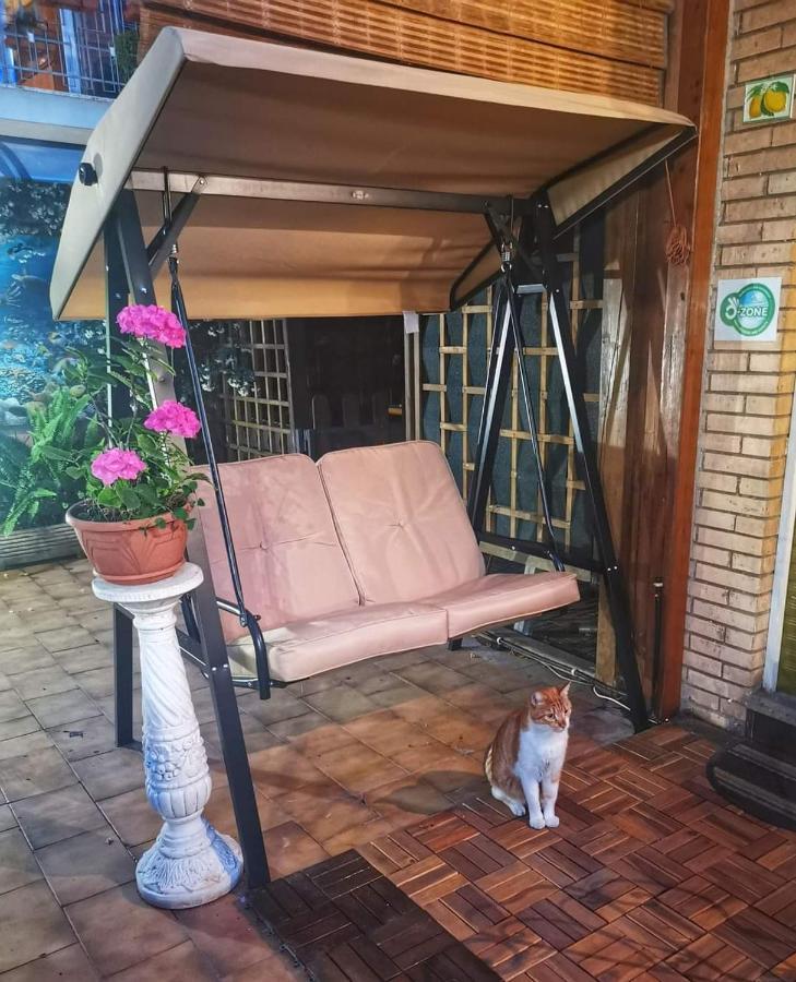 Guest House Il Limone Nascosto Rzym Zewnętrze zdjęcie