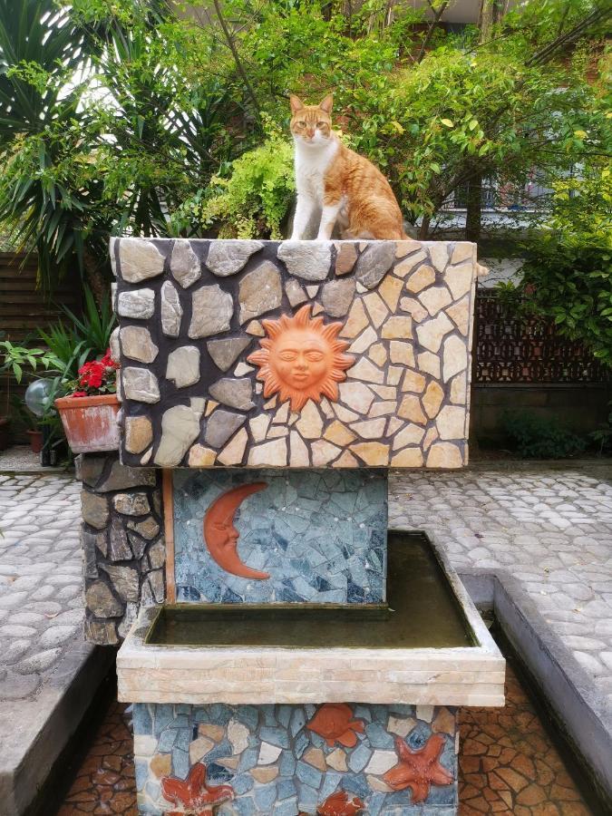 Guest House Il Limone Nascosto Rzym Zewnętrze zdjęcie