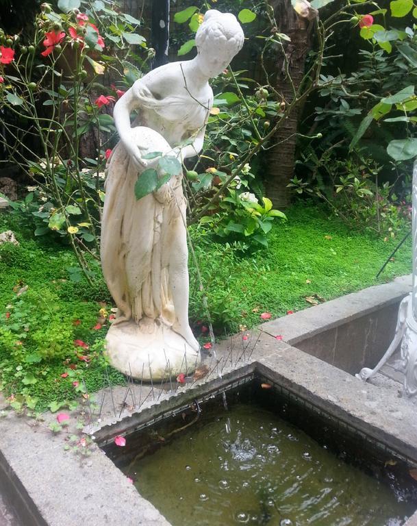 Guest House Il Limone Nascosto Rzym Zewnętrze zdjęcie